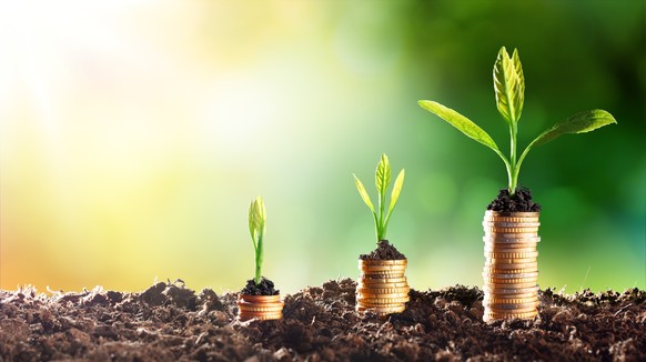 plants on piles of euro coins