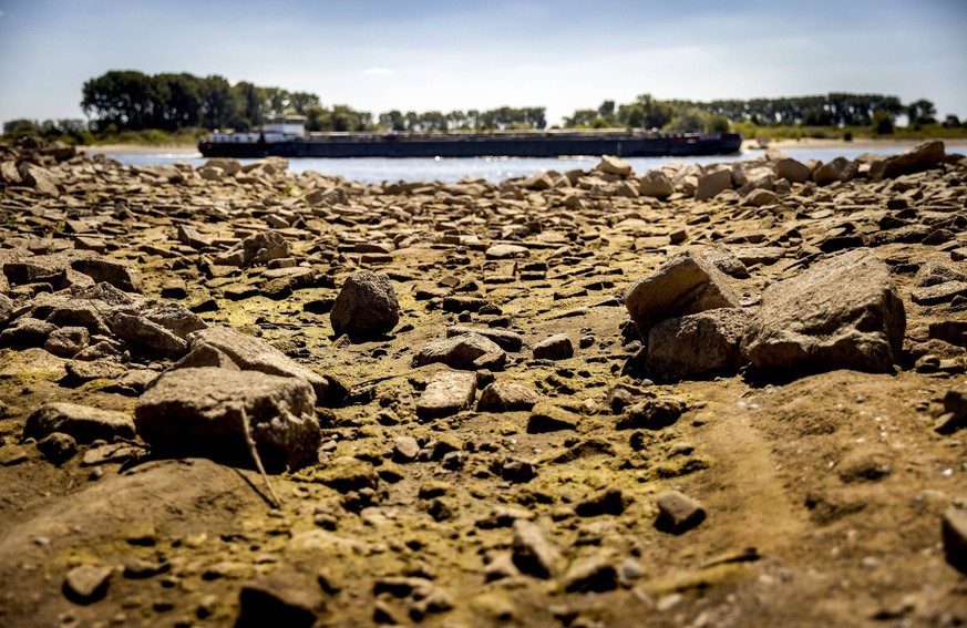 Viele Flüsse wie der Rhein leiden aktuell an starkem Wassermangel.
