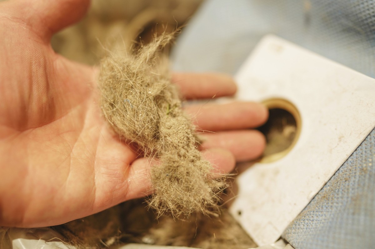 Dirty dust from vacuum cleaner container. Vacuum cleaner debris. Dirt from Vacuum Cleaner. Dirty dust from filter of vacuum cleaner. Full dust container. Debris in bagged, collected dirt in room.