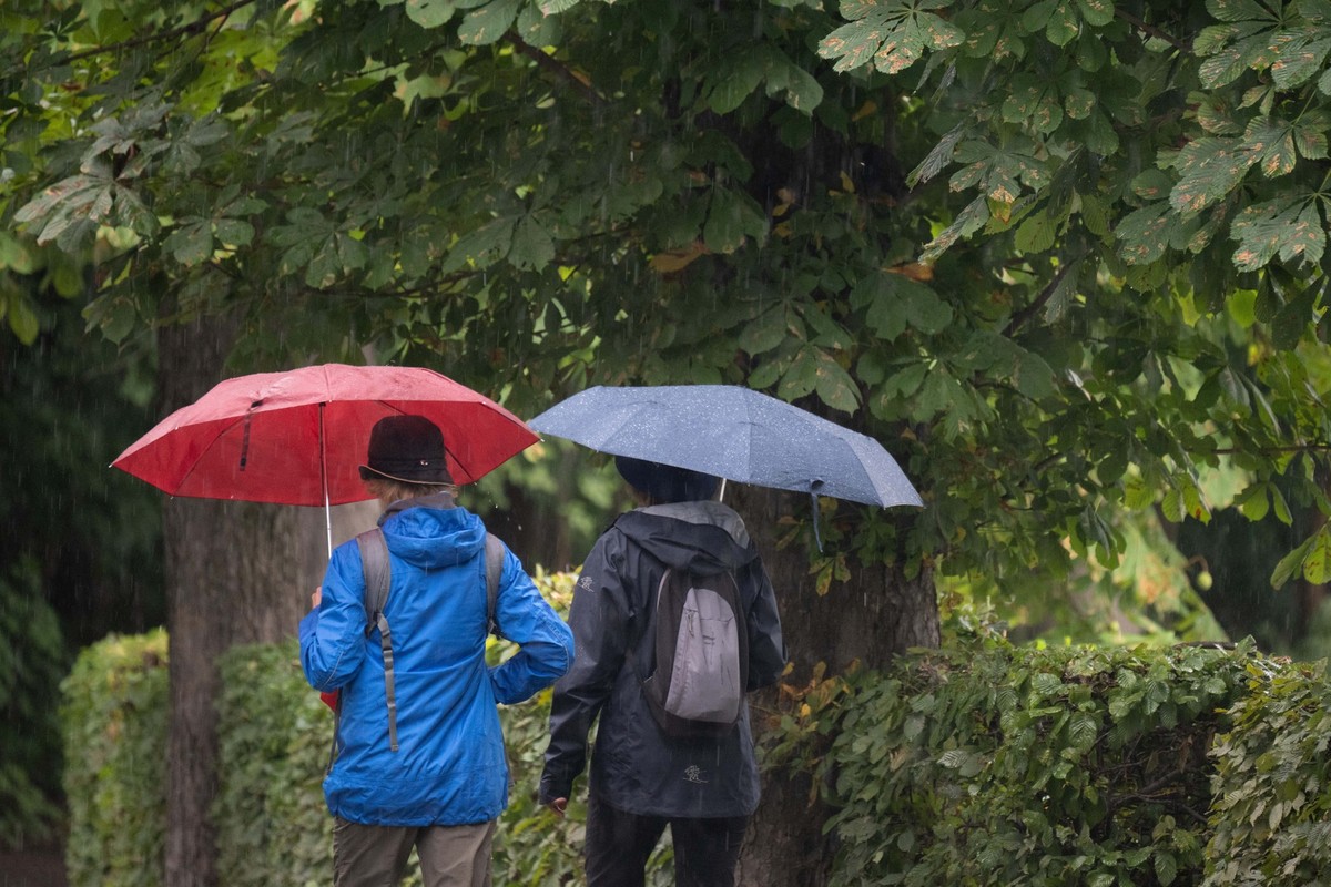 28.08.2023, Sachsen, Moritzburg: Passanten gehen mit Regenschirmen eine Allee mit Kastanienbäumen entlang. Wie der Deutsche Wetterdienst in Leipzig mitteilte, werden am Montag maximal 16 bis 19 Grad e ...