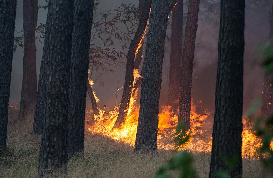 Drohende Evakuierung und Autobahn-Sperrungen – größerer Waldbrand bei Potsdam