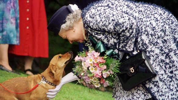 Dogs were an integral part of the Queen's life.
