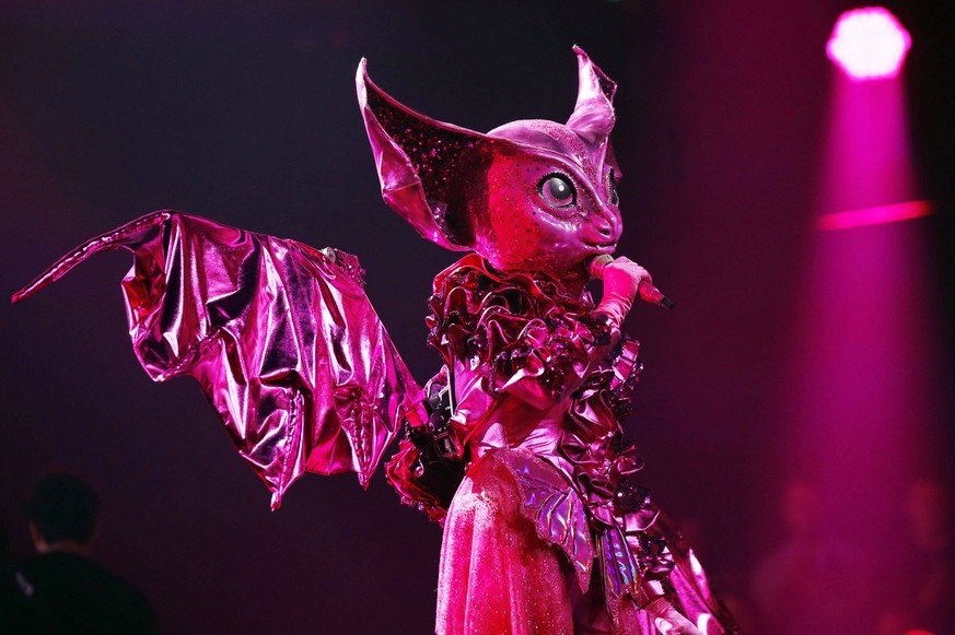 Die Fledermaus: In der ersten Show musste das pinke Tier bereits zittern.