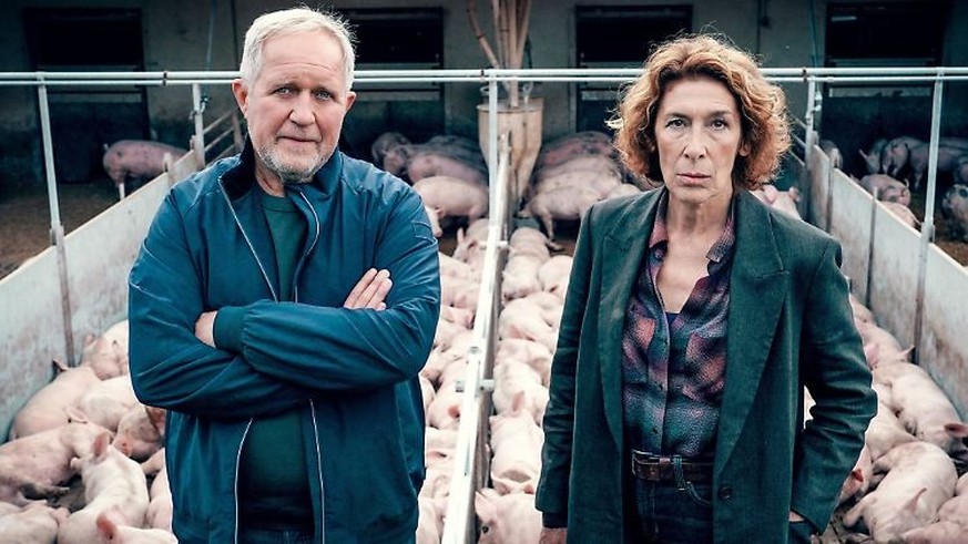 Im "Tatort" vom 15.Oktober ermittelt das Team aus Wien.