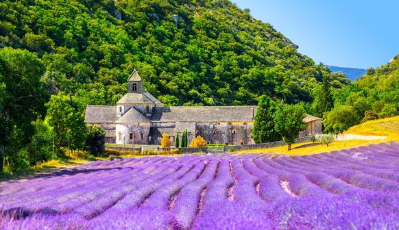 Südfrankreich ist für seine riesigen Lavendelfelder bekannt.