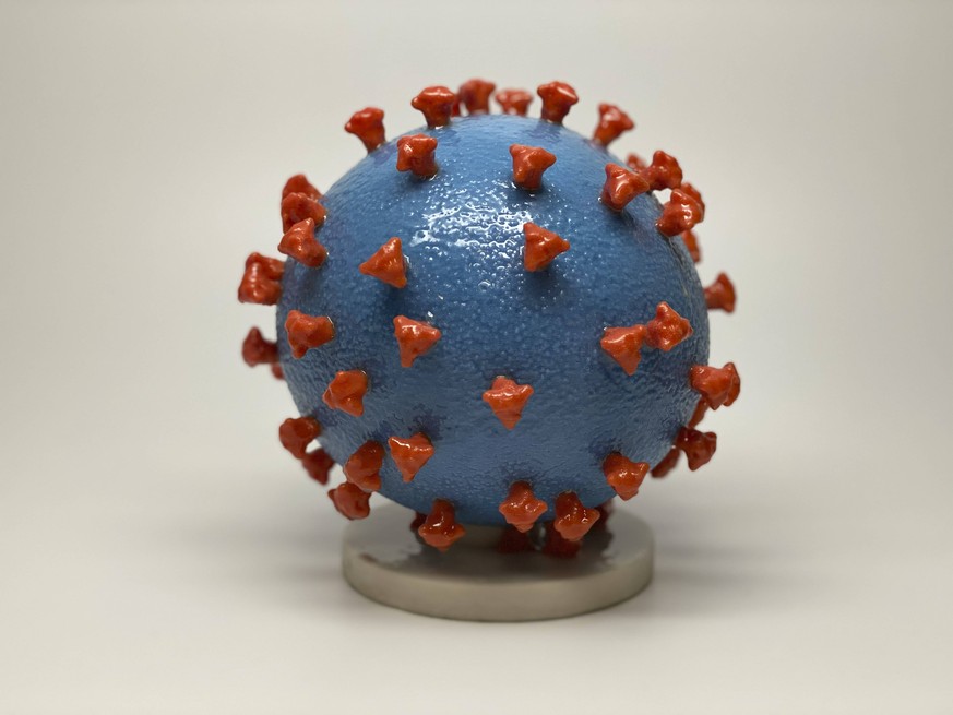 Ein 3D-Modell des Virus.