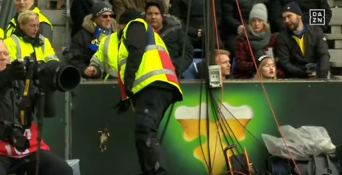 Ein Ordner kümmert sich um die Entsorgung der toten Ratte.