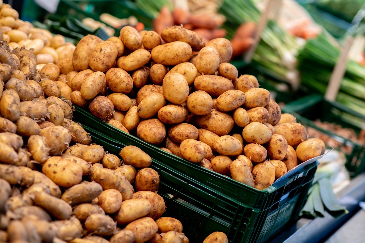 ARCHIV - 30.05.2024, Niedersachsen, Oldenburg: Zahlreiche Kartoffeln verschiedener Sorten liegen an einem Obst- und Gem