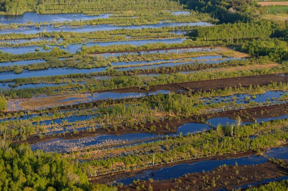 Diese Moorlandschaft in Schleswig-Holstein wurde renaturiert.