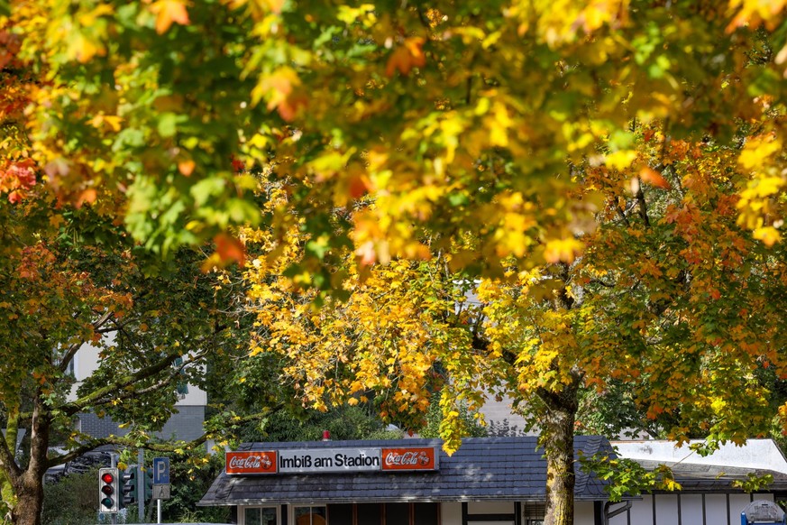 Goldener Oktober, dass bunte Herbstlaub an den Baeumen B