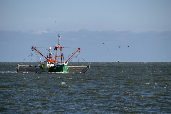 Fischkutter auf dem Meer, Niederlande, Ijmuiden, Zuidpier fishing trawler on the sea, Netherlands, Ijmuiden, Zuidpier BLWS620071 *** Fishing trawlers on the sea, Netherlands, Ijmuiden, Zuidpier fishin ...
