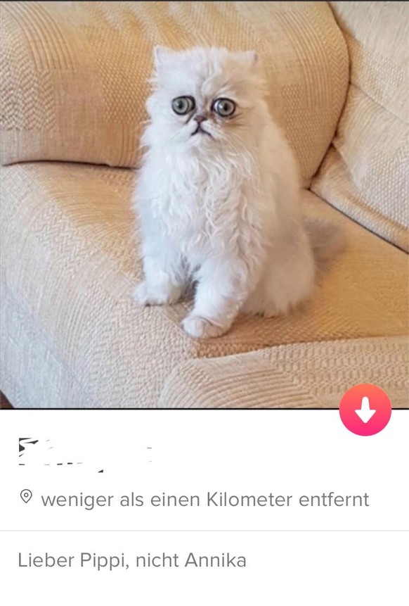 Tinder Diese ProfilSprüche sind lustig