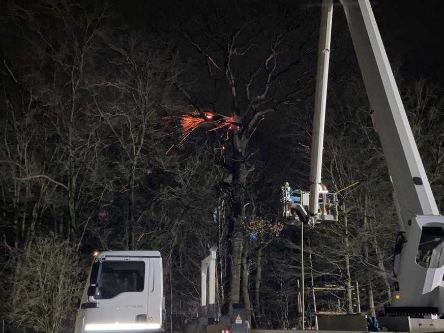 ARCHIV - 11.01.2021, Nordrhein-Westfalen, Kerpen: Flammen sind an einem Baumhaus im Hambacher Forst zu sehen. Bei einem Brand in einem Baumhaus im Hambacher Forst ist ein Mann am Montagabend verletzt  ...