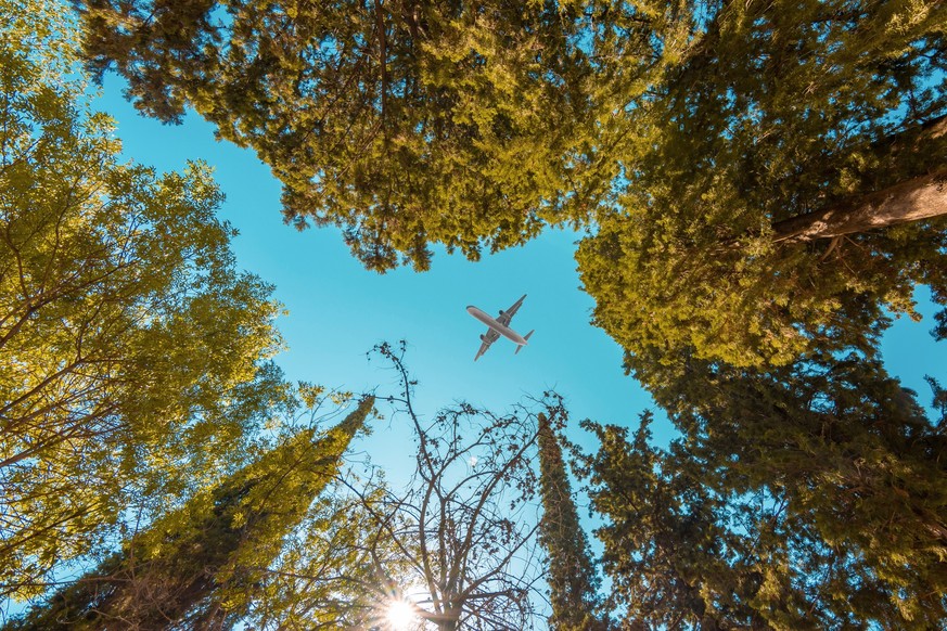 Airplane flying over forest with yellowed leaves in autumn, bottom view
