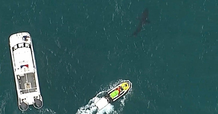 Einsatzkräfte verfolgen einen Hai, der kurz zuvor einen 60-jährigen Surfer angegriffen hatte.