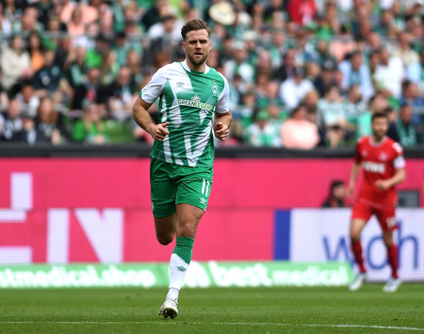 20.05.2023, Bremen, Germany, Wohninvest Weserstadion, SV Werder Bremen vs 1. FC Koeln - 1. Bundesliga, Niclas Fuellkrug Werder Bremen schaut Foto Ralf Treese, Ralf Treese DFB / DFL REGULATIONS PROHIBI ...