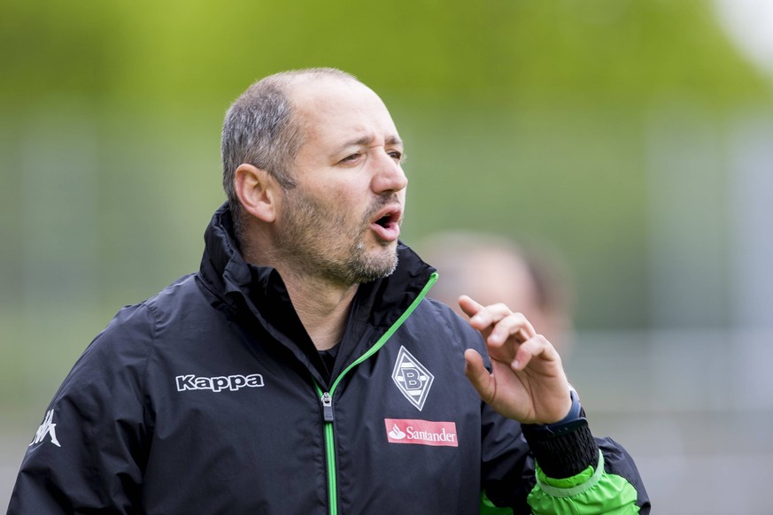 Seit 2013 ist der heute 45-Jährige Co-Trainer der A-Jugend von Borussia Mönchengladbach.