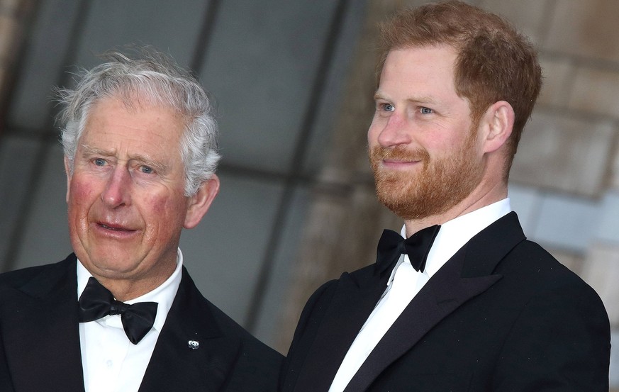 Charles, Prince of Wales und sein Sohn Prinz Harry, Duke of Sussex bei der Premiere der Our Planet Netflix Naturdokumentations- Serie am 4.04.2019 in London Our Planet Serien Premiere in London *** Ch ...