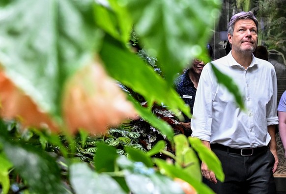 13.11.2022, Singapur: Robert Habeck (Bündnis 90/Die Grünen), Vizekanzler und Bundesminister fu·r Wirtschaft und Klimaschutz, sieht sich die Pflanzenwelt im Cloud Forest an. Der Minister nimmt an der 1 ...