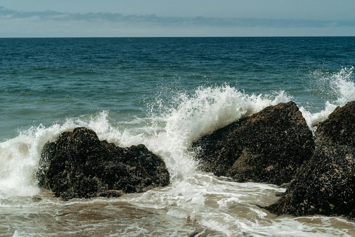 An der Küste ist einiges los.