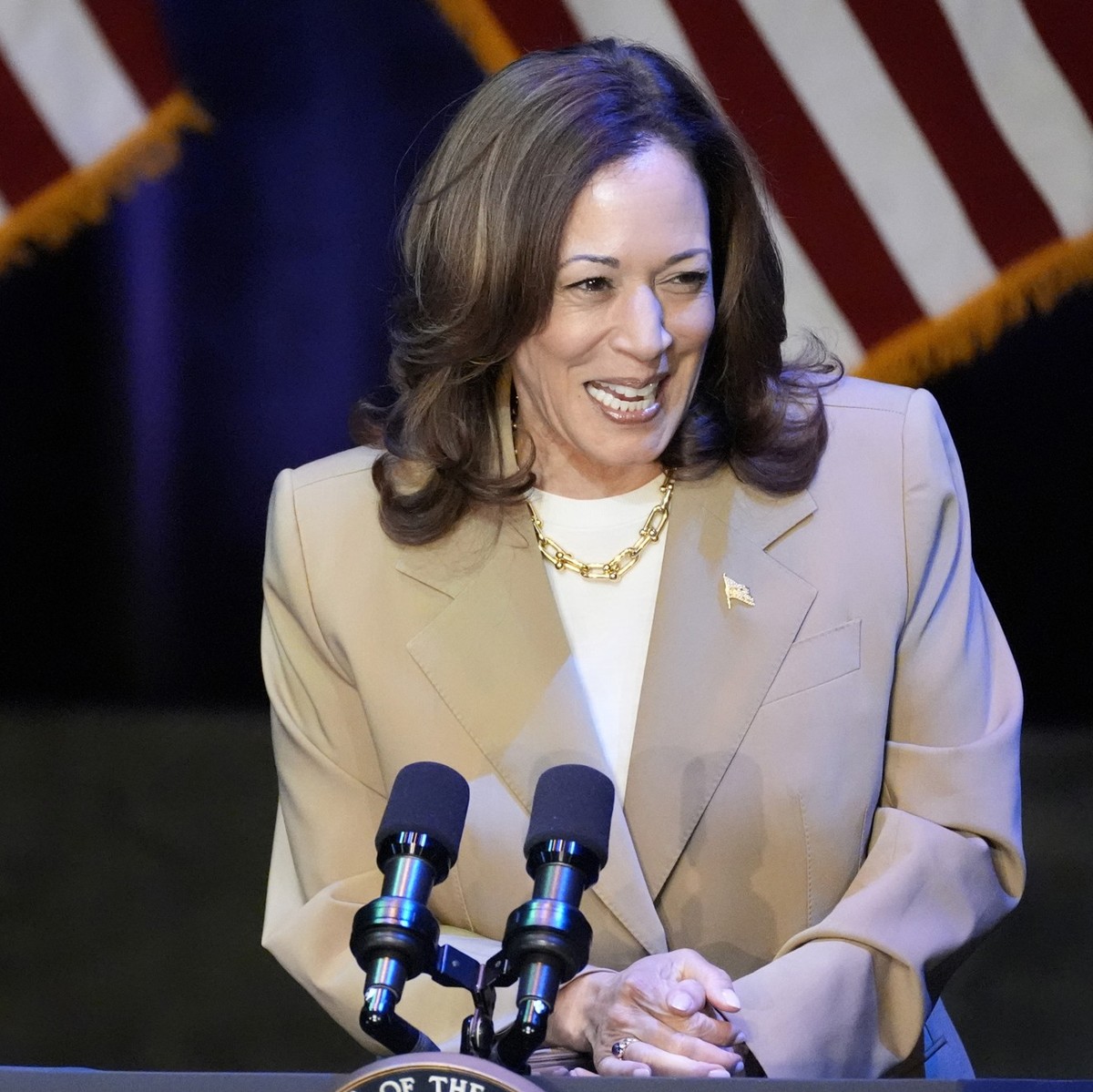 ARCHIV - 27.07.2024, USA, Pittsfield: US-Vizepräsidentin Kamala Harris hält eine Rede bei einer Wahlkampfveranstaltung in Pittsfield. (zu dpa: «Harris klar zur Kandidatin gewählt - Warten auf Vize») F ...