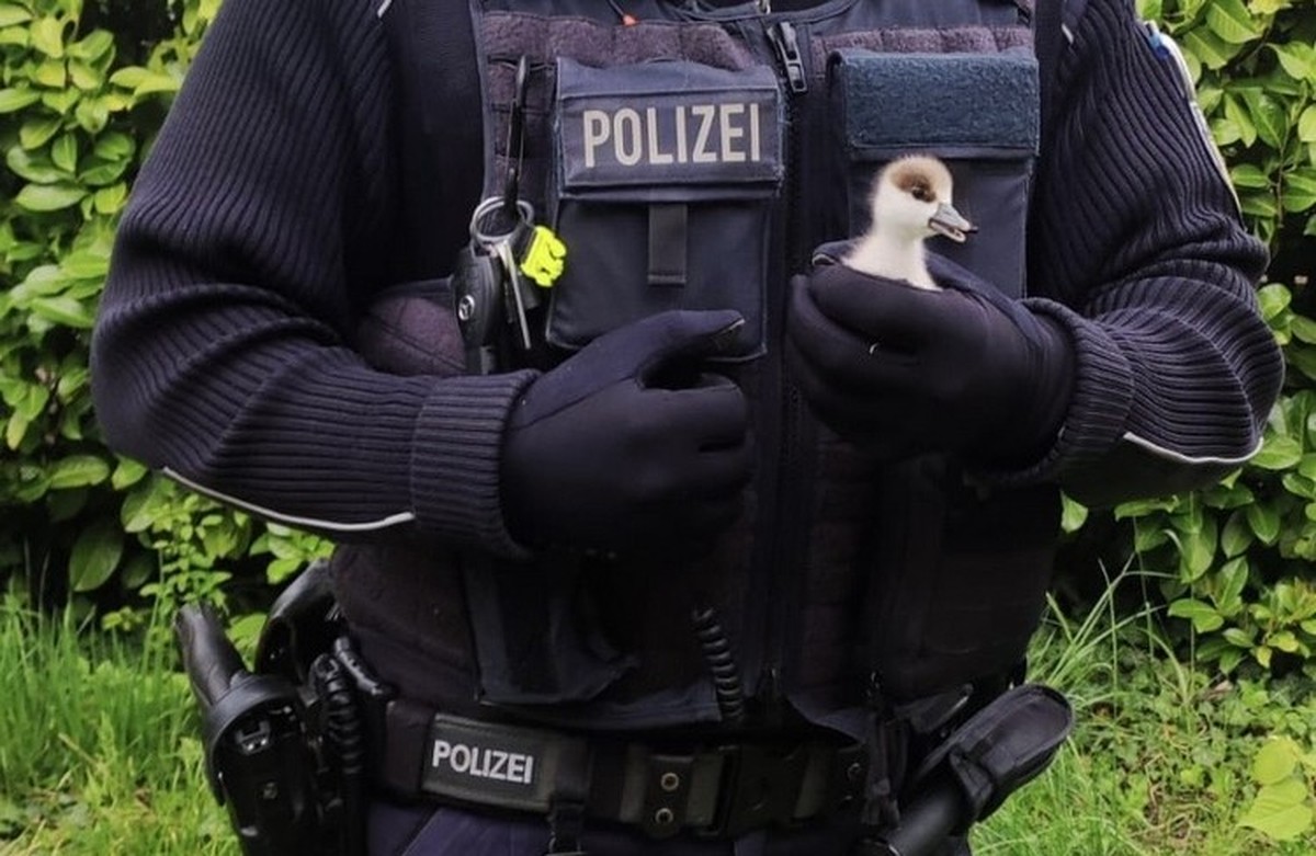 Quelle: Bundespolizeiinspektion Weil am Rhein