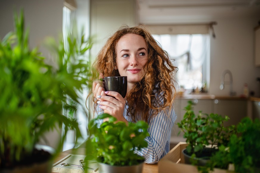 Zu Hause kann man leicht Kräuter anbauen – aber auch Gemüse wie Zucchini, Paprika, Salat oder Fenchel.