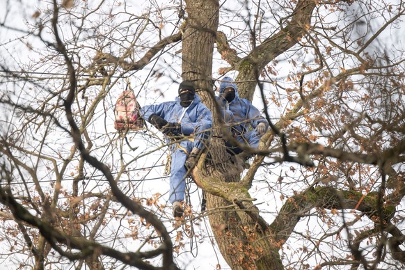 Hessen, Frankfurt/Main: Zwei Aktivisten sitzen während der Räumung des besetzten Gebietes im Fechenheimer Wald auf einem Baum. Umweltaktivisten hatten mit der Besetzung gegen den geplanten Ausbau der  ...