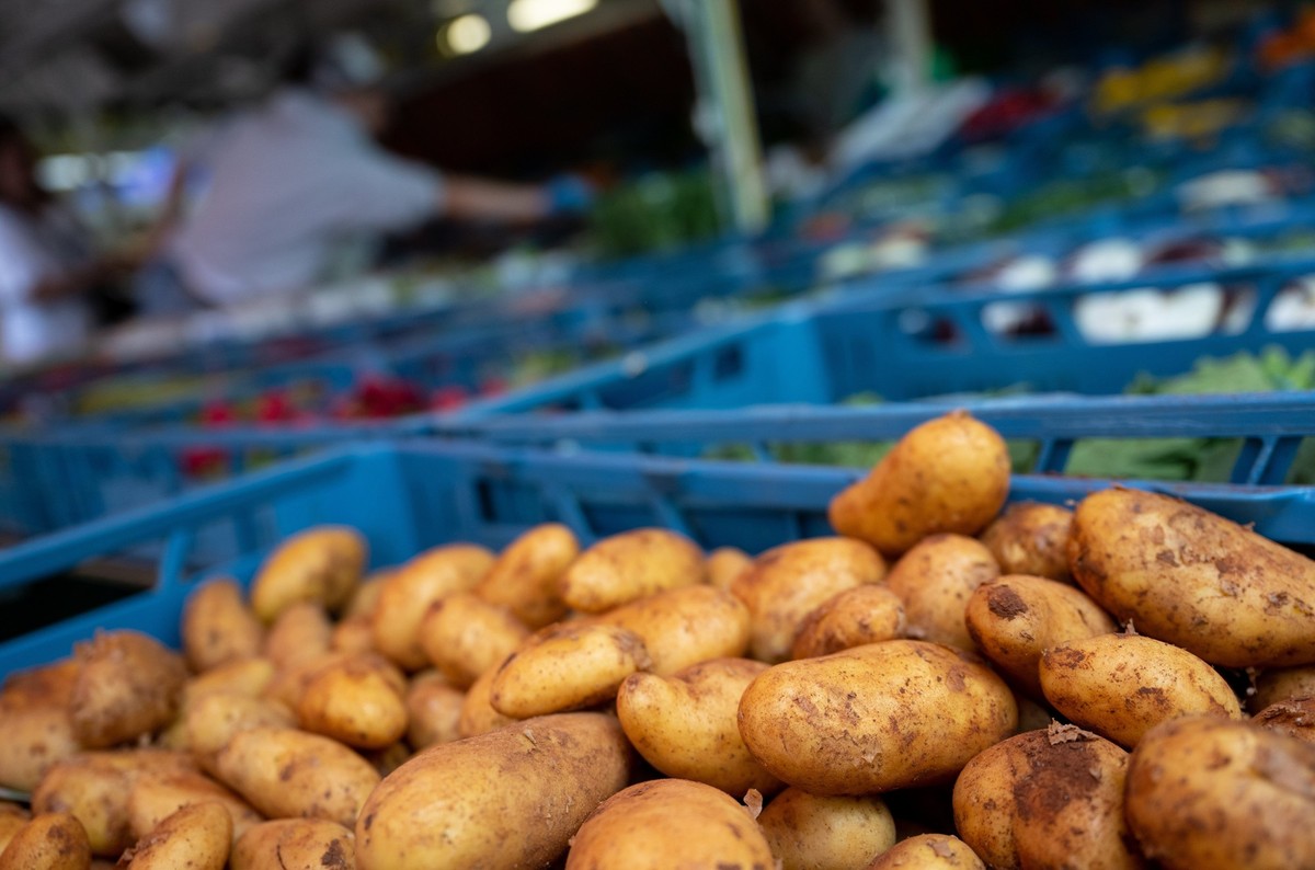 ARCHIV - 05.06.2023, Bayern, M�nchen: Kartoffel und andere Obst- und Gem�sesorten werden an einem Marktstand am Rotkreuzplatz angeboten. Zum Ende der Kartoffelernte zeigen sich die Landwirte in Sachse ...