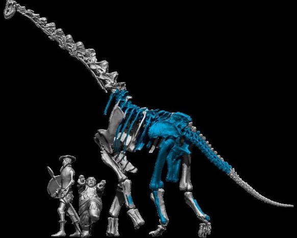 Ein Dinosaurier dieser Größe ist im europäischen Raum eher ungewöhnlich.