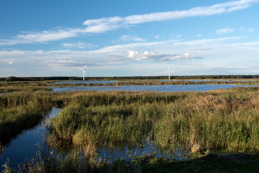 Natural landscape on Fischland in Germany