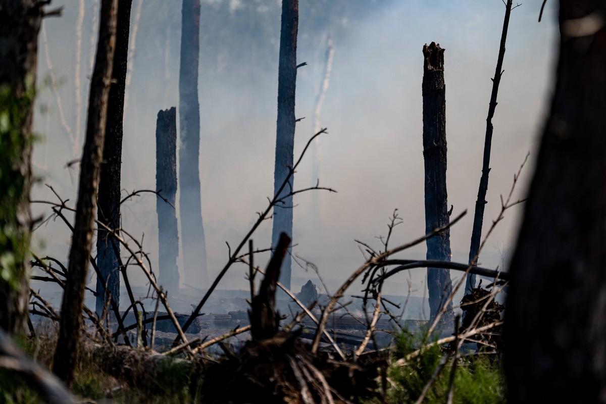 05.06.2023, Brandenburg, Jüterbog: Rauch ist in einem ausgebrannten Waldstück nahe Jüterbog zu sehen. Auffrischender Wind hat den Waldbrand in einem mit Munition belasteten Waldgebiet südlich von Berl ...