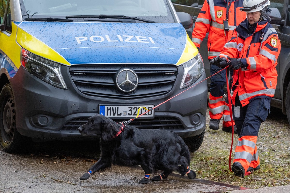 12.10.2025, Mecklenburg-Vorpommern, Güstrow: Ein Hund einer Rettungshundestaffel geht mit seinem Halter durchs Gelände. Ein achtjähriger Junge hatte am Freitag das Haus seiner Mutter mit Erlaubnis ver ...