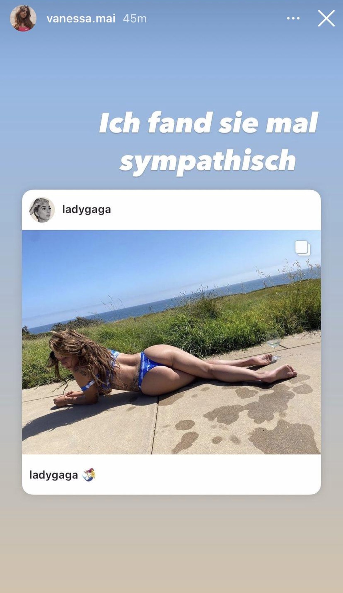 Hier ist eine Aufnahme von Lady Gaga zu sehen.