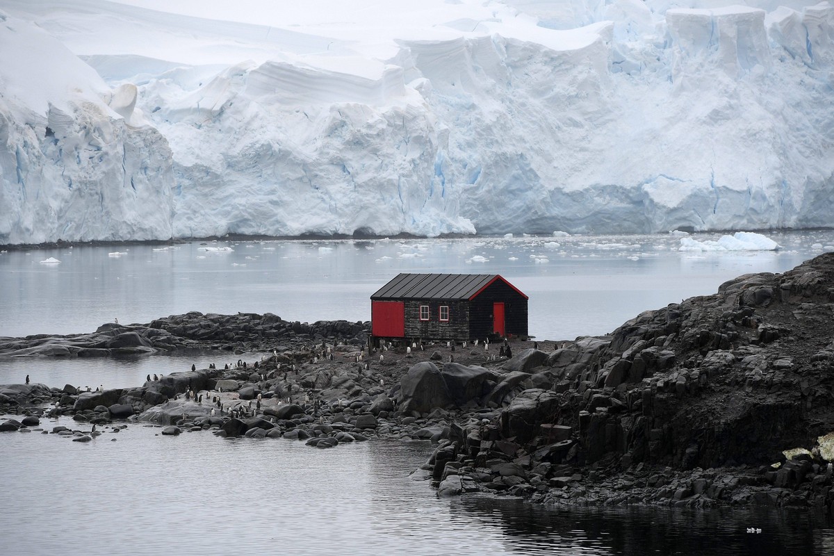 ANTARCTIQUE PORT LOCKROY PHOTOPQR/VOIX DU NORD/PIERRE ROUANET 27/02/2024 Antarctique, le 27/02/2024. Croisiere dite d expedition vers le continent blanc, la peninsule Antarctique continent austral, po ...