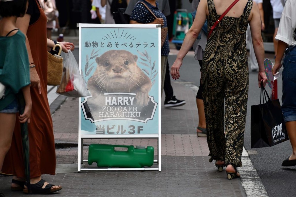 A promotional signboard for a pet cafe that features otters is displayed at the Harajuku district in Tokyo on August 21, 2019. - Social media are fuelling a burgeoning appetite for acquiring wild otte ...