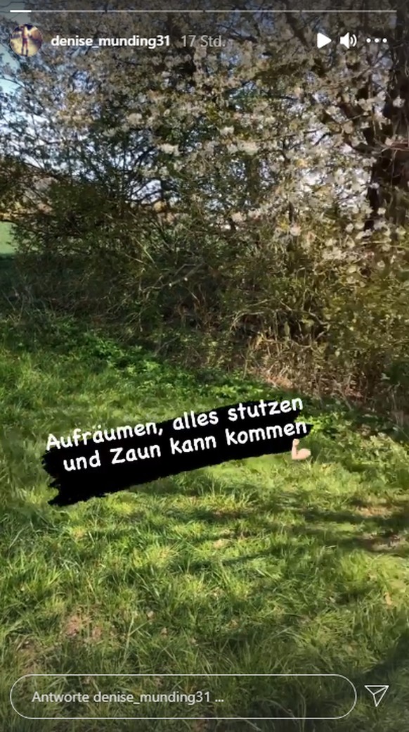 Denise wollte eigentlich nur ihr Zuhause verschönern...