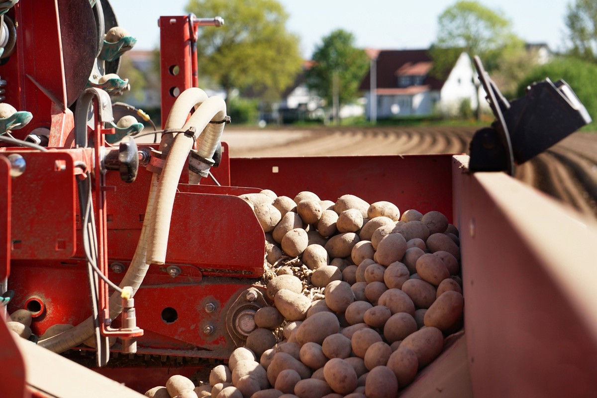 Landwirtschaft-Trecker mit Kartoffelleger zum pflanzen von Kartoffeln fuer die Saison 2025 in Einbeck im Landkreis Northeim in Niedersachsen. Landwirtschaft-Ackerschlepper pflanzt Kartoffeln *** Agric ...