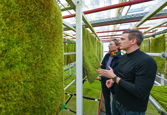 PRODUKTION - 14.02.2022, Brandenburg, Bestensee: Simon Dierks (l), Leiter Marketing und Peter S�nger, Gr�nder und Gesch�ftsf�hrer der Firma Green City Solutions, stehen in einem Gew�chshaus mit vielem ...