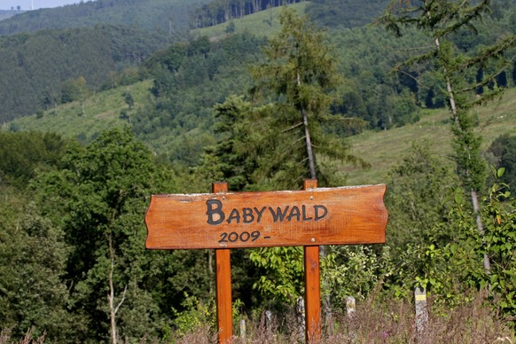 Schild Babywald vpr einer Aufforstung, Deutschland signg Babywald, baby forest, Germany BLWS475694 Copyright: xblickwinkel/M.xHenningx