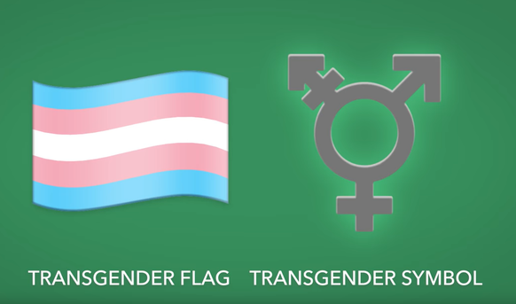 Die Flagge für die Transgender-Community und das Symbol.