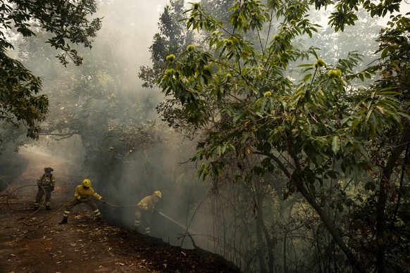 19.08.2023, Spanien, La Orotava: Rettungskräfte und Feuerwehrleute arbeiten daran, das Feuer zu löschen. Der Waldbrand auf Teneriffa hält auch am vierten Tag die beliebte Urlaubsinsel in Atem. Erneut  ...