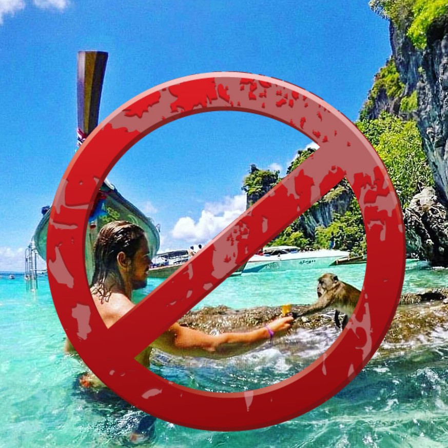 Warum du den Traumstrand aus "The Beach" weiter nicht besuchen darfst