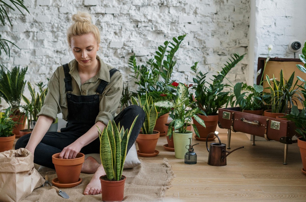 Wer keinen Garten hat, kann sich die Pflanzen auch in die Wohnung holen.