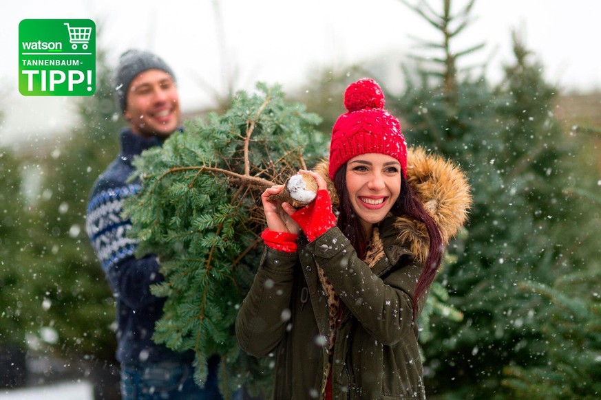 Im Tannenbaum-Tipp von watson stellen wir euch die Fair Trees® Nordmanntannen von toom vor.