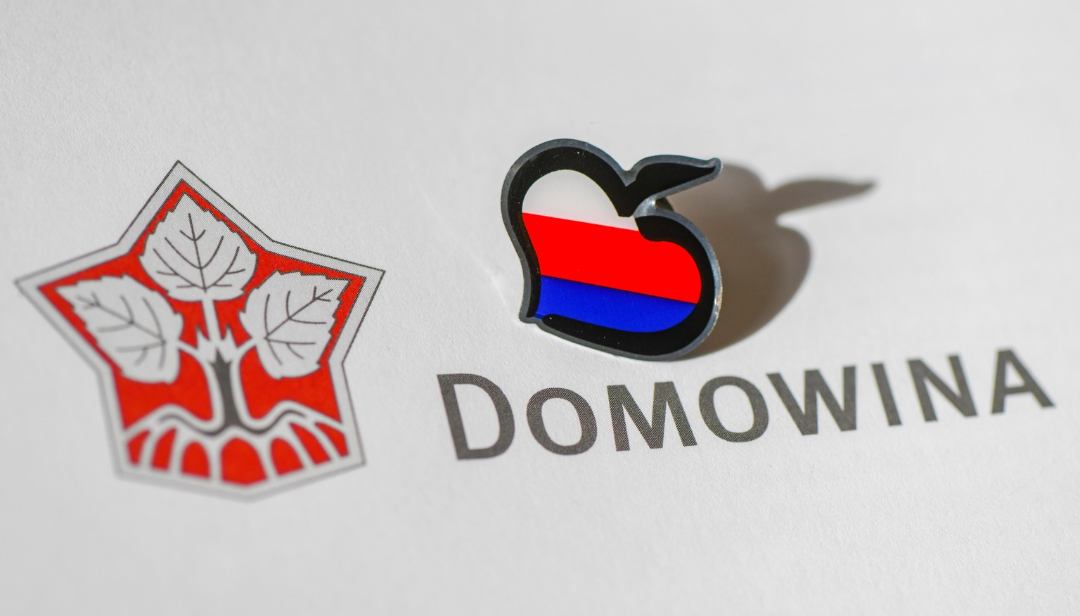 05 March 2019, Brandenburg, Cottbus: A lime leaf in the national colours of the Sorbs lies above the word &quot;Domowina&quot; in the Sorbian Cultural Information of the Wenendisches Haus. On the same ...