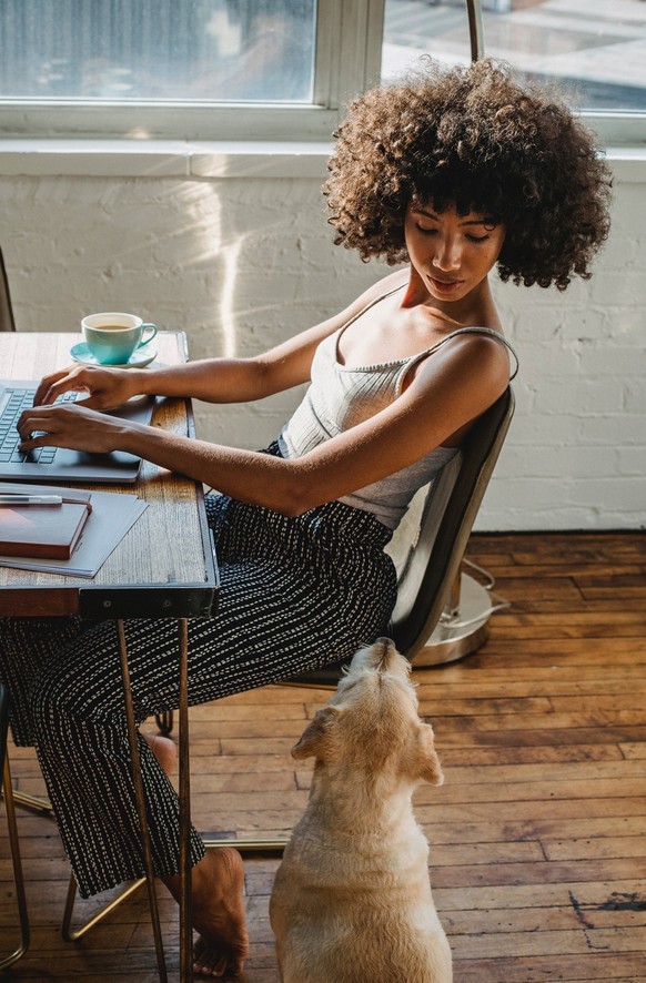 Homeoffice? Bürohund? Die Gen Z artikuliert oft früh klar ihre Vorstellungen.