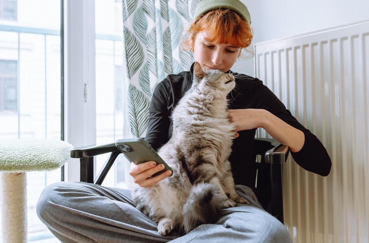 teenage girl sits on chair by window, wearing hat, holding domestic cat with mustache, using phone comfortably.