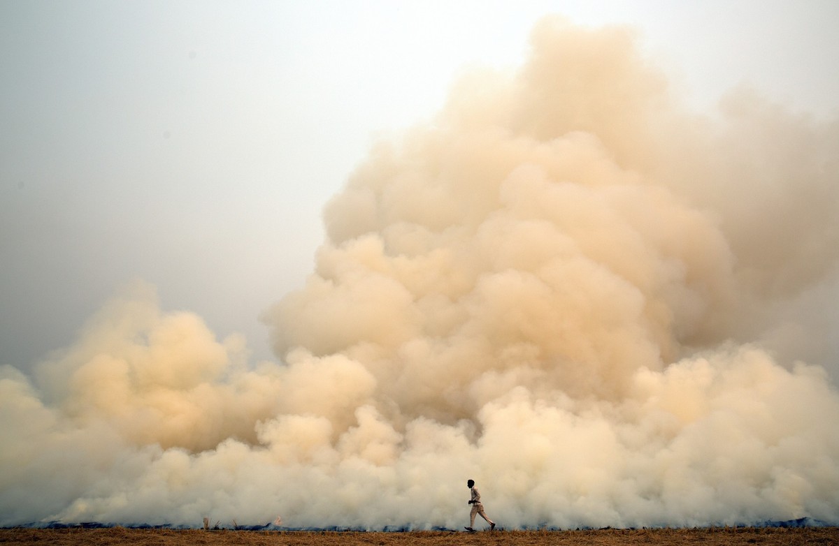 Crop Burning and its current scale can be traced to agricultural practices adopted during the green revolution of the 70s. It fostered a high dependence on rice and wheat, introducing high yield varie ...