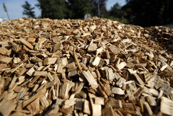IMAGO Nature: Unsere Erde, Energiequellen, Biomasse Holzhackschnitzel woodchips BLWS660810 *** Wood chips woodchips BLWS660810 Copyright: xblickwinkel/McPHOTO/B.xLeitnerx
